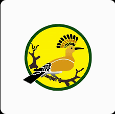 AZFC